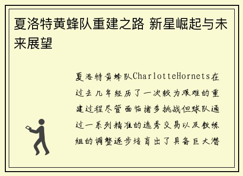 夏洛特黄蜂队重建之路 新星崛起与未来展望